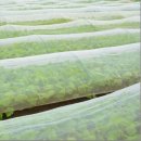 방충농장 이미지