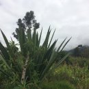 바람과바다 이미지