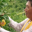 신농농장 이미지