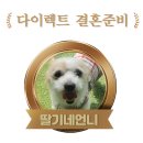 사학연금 | [본식후기] 부산 범내골역 사학연금 S웨딩홀 후기!