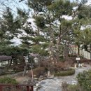 북한강쭈꾸미 | 김포 쭈꾸미볶음 맛집 북한강 한끼식사 후기