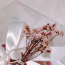 아브릴(Abril) 이미지