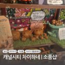 [일본/후쿠오카] 캐널시티 차이하네(chaihane/cayhane) | 소품샵&amp; 기념품&amp; 아시아 생활용품점