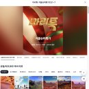 디스민박 | 마이리얼트립 12월 할인 쿠폰 코드 + 1월 호주 여행 코스 날씨 숙소 추천