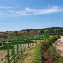 신*식태양광발전소 이미지