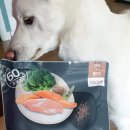 쉬리끼니 이미지