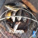 석곡낚시터 이미지