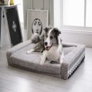 로아코리아 이미지