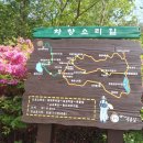 한치재주차장 이미지