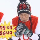 여나투어