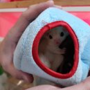 로던트클럽 화정 본점 이미지