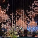 아쿠아라이프 | [잠실 롯데월드몰] 디라이프스타일치킨카페 &amp; 아쿠아가든 롯데월드몰 - 내돈내산 후기