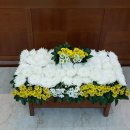 경희늘푸른노인전문병원 이미지