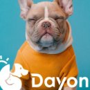 주식회사 펫클럽 이미지