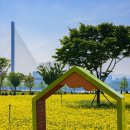 서울 근교 꽃구경 가볼만한곳, 구리 한강시민공원 유채꽃축제(기본 정보, 주차, 교통편)