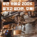 APEC로 | 2026 부산 카페쇼 관람 포인트 3가지: 디저트 페어와 커피의 환상적인 만남