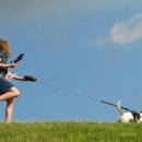 강아지와 나 이미지