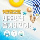 주식회사로그인렌트카 | 제주렌트카, 비행기, 숙소! 총예산 9만원?!