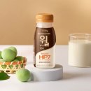 위 건강을 위한 일일 습관, 헬리코박터 프로젝트 윌로 가볍게 시작하는 아침 🥛✨