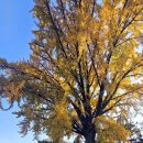 전주향교 이미지