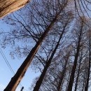 노루벌적십자생태원 이미지