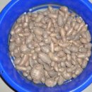 모두농장 이미지