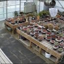 이정농장 이미지