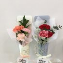 모코코플레르