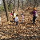 모담산 유아숲체험원 이미지