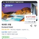 에코랜드 호텔 후기 겨울 제주 숙소 객실 디럭스 프리미어룸