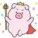 범어애견 이미지