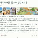 루트프로젝트마케팅