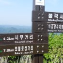 토함산 - 경주시 | 토함산