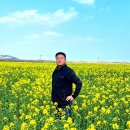 남대천 이미지