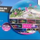 형제정비 | 애국가 배경 속 그곳, 추암 촛대바위 &amp; 형제바위 직접 가본 후기