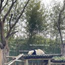 시완농장 이미지