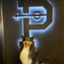 산현로132번길 이미지