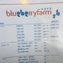 수재농장 | 태안 대형카페, 직접 키운 블루베리로 만드는 블루베리팜카페 후기
