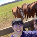 진태목장 이미지