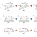 운동과학연구센터 이미지