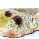 제이더블유중외제약(주) 이미지