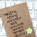 샬롬 이미지