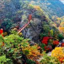 강천산 캠핑 이미지