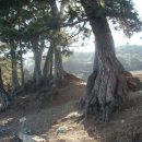 학동 펜션 이미지