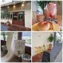 백장미사 이미지