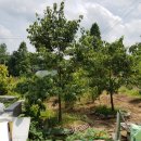 화포농장 이미지