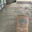 미소목장 | [제주도 썰 풀이 1탄] 제주도 아침 미소 목장 후기