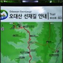 제64차 2014년 7월 정기산행 - 강원 오대산 "선재길&전나무 숲길" 힐링 트래킹(10km) 이미지