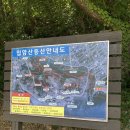 남악골 산야초 | 목포 갓바위 둘레길 입암산 등산후기 / 남악 산야초 닭백숙 맛집