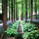 수련원길 이미지